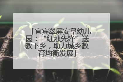 宜宾翠屏安阜幼儿园：“红烛先锋”送教下乡，助力城乡教育均衡发展